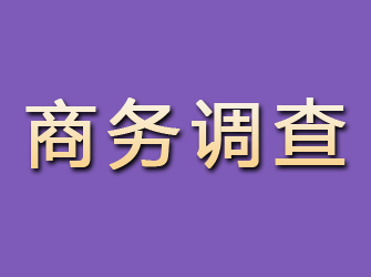 黎川商务调查